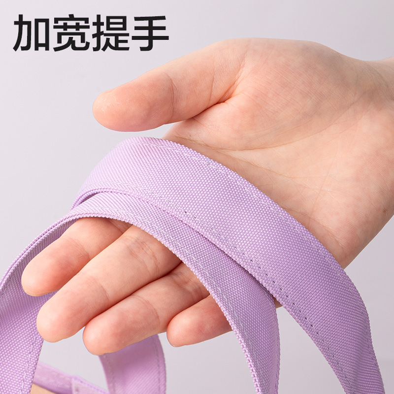 大众娱乐BA202卡通系列补习袋(混)(个)
