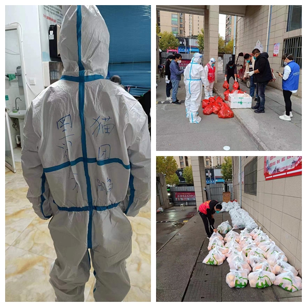 光影魔术试齑图.jpg 光影魔术试齑图.jpg