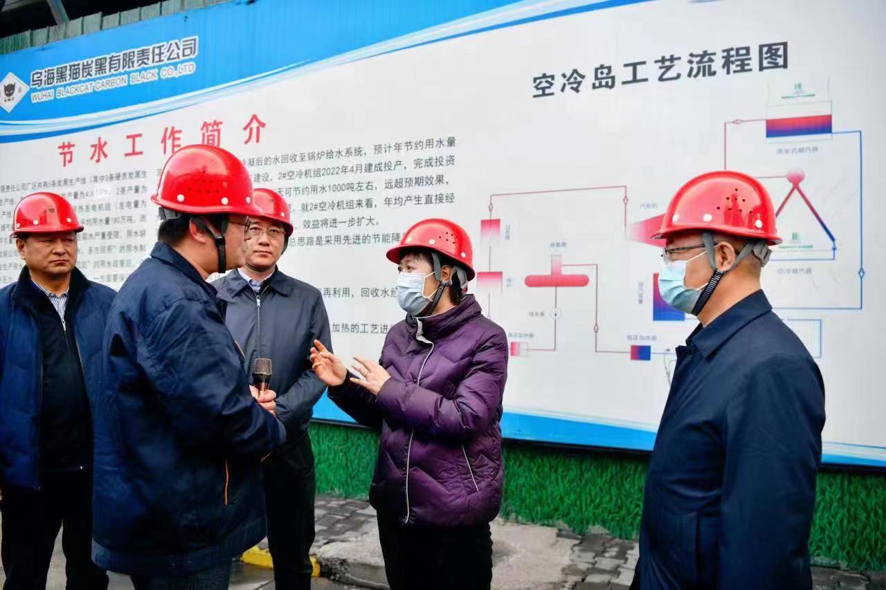 崔景英一行莅临乌海qy千亿调研领导 (1).jpg