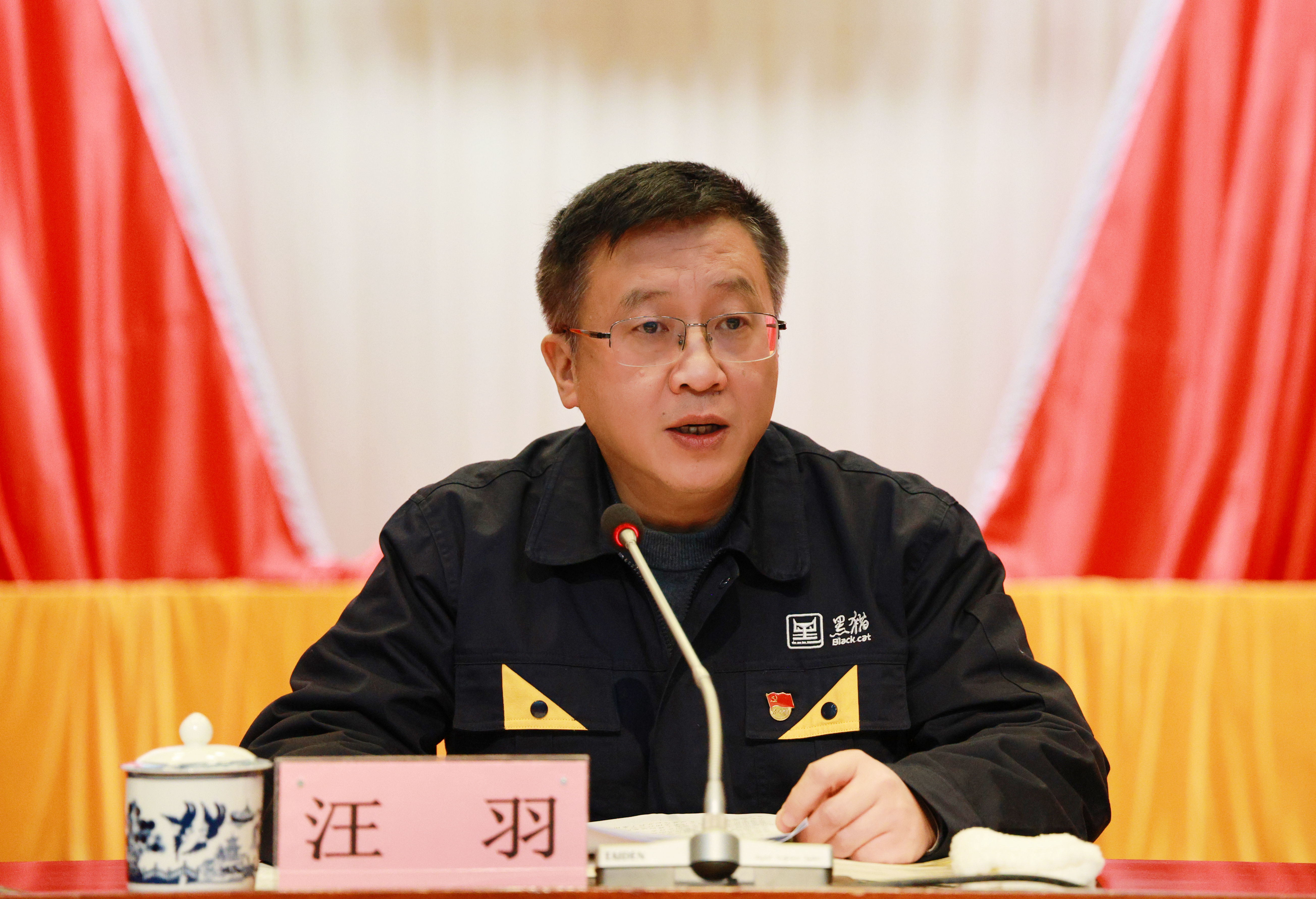 图6 汪羽作讲话.jpg 图6 汪羽作讲话.jpg