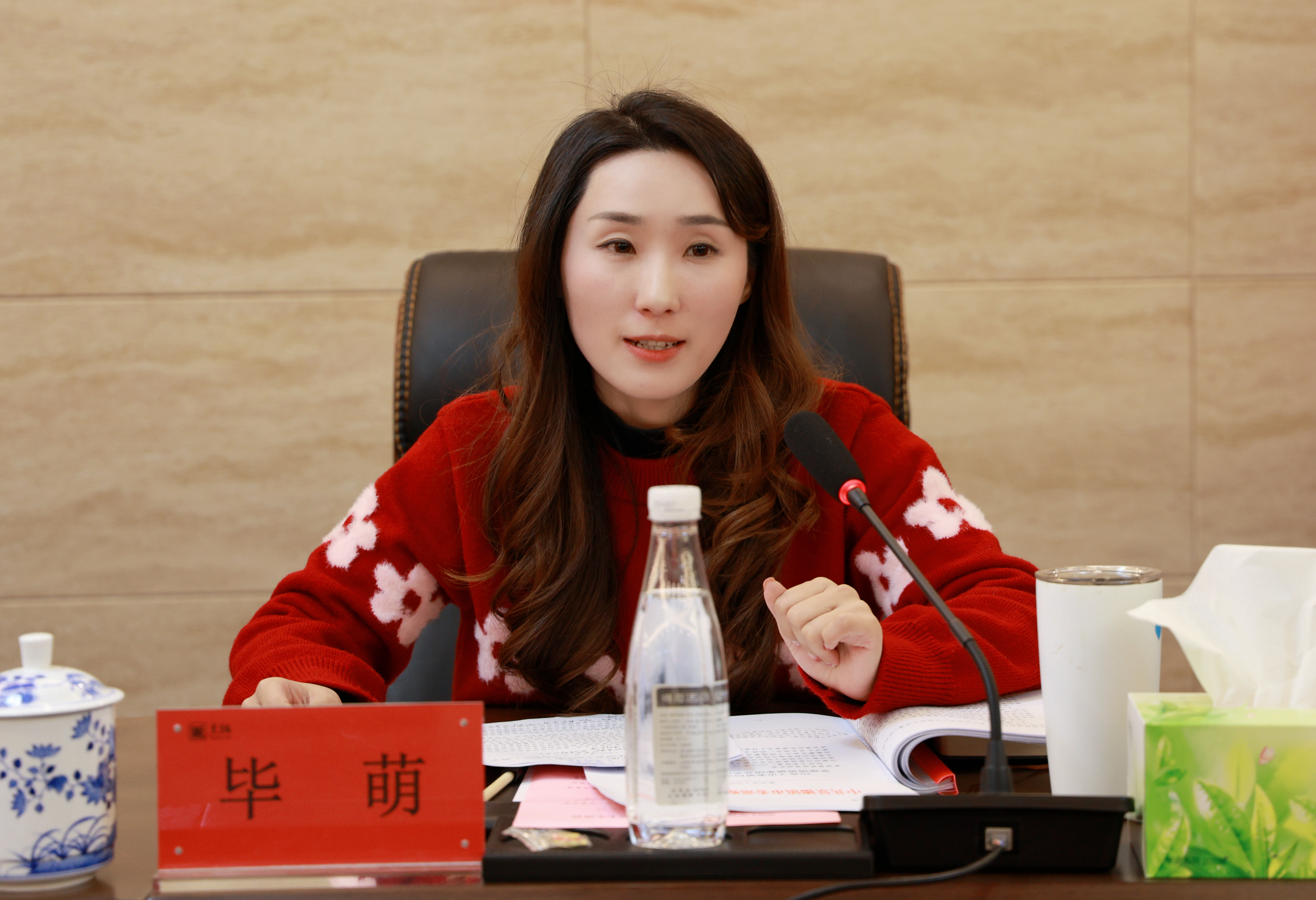 图3 毕萌出席会议.jpg 图3 毕萌出席会议.jpg