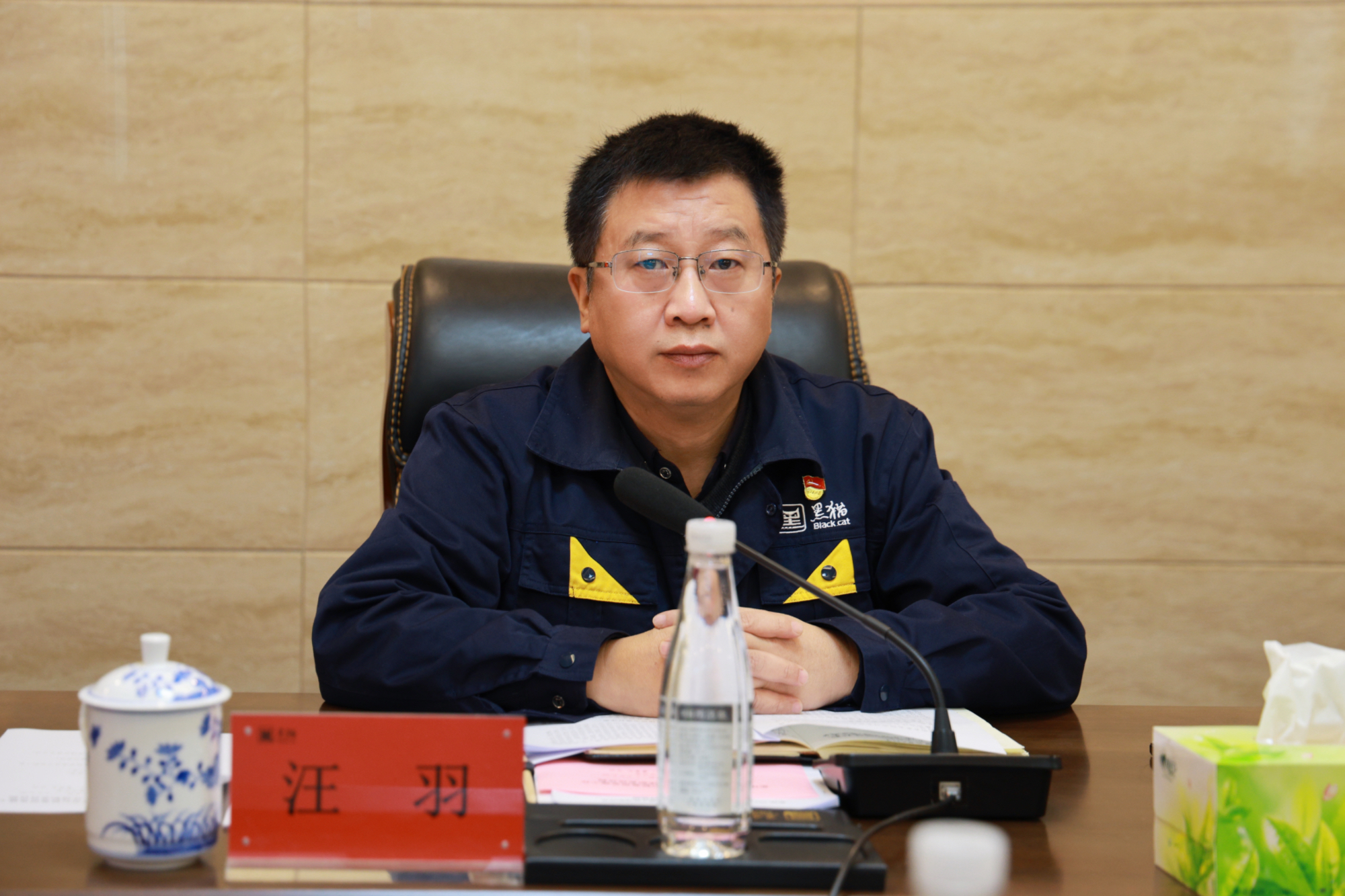 汪羽作总结讲话.jpg 汪羽作总结讲话.jpg